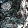 Grota Pramocy - Ascendentes Metaphysicum CD