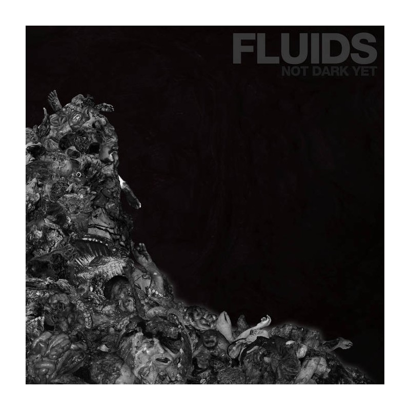Fluids - Not Dark Yet CD