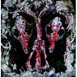 Instinct - An Auroral Gathering of Skulls CD