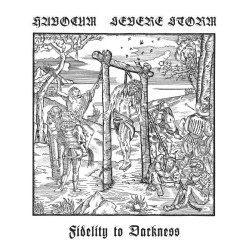 Havocum / Severe Storm - Fidelity of Darkness LP