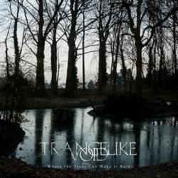 Trancelike Void - Where the Trees Can Make It Rain CD