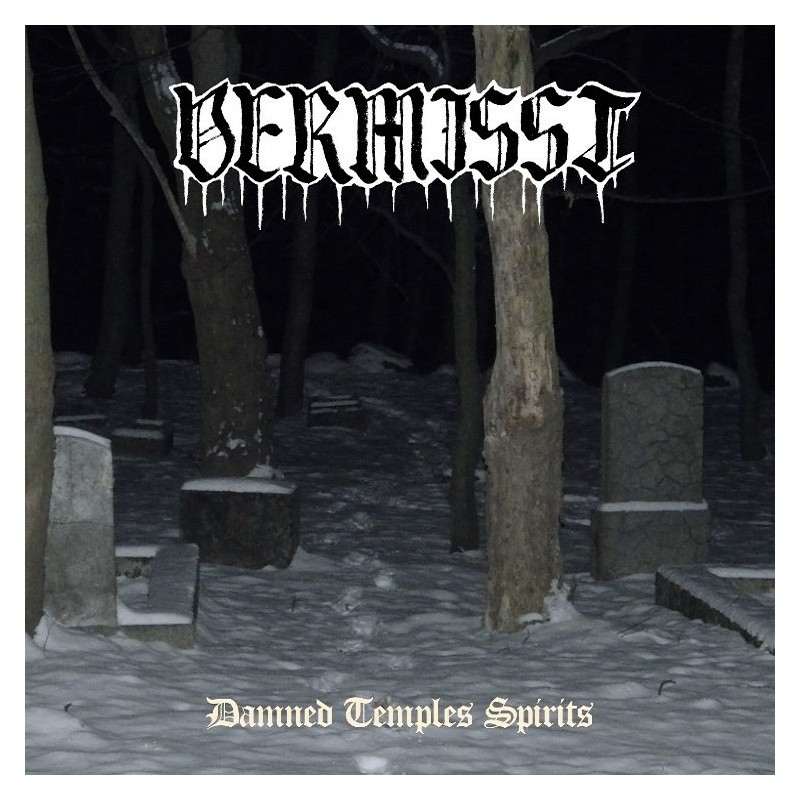 Vermisst - Damned Temples Spirits CD